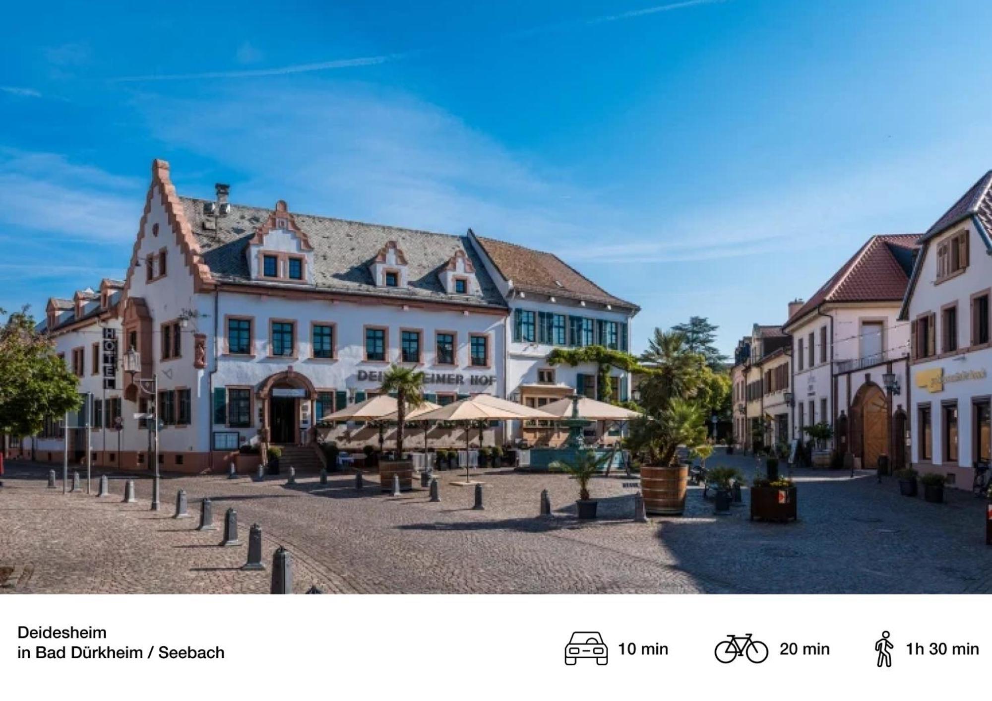 Privates Ferienhaus Mit Pool & Whirlpool Zentral In Бад-Дюркгайм Екстер'єр фото