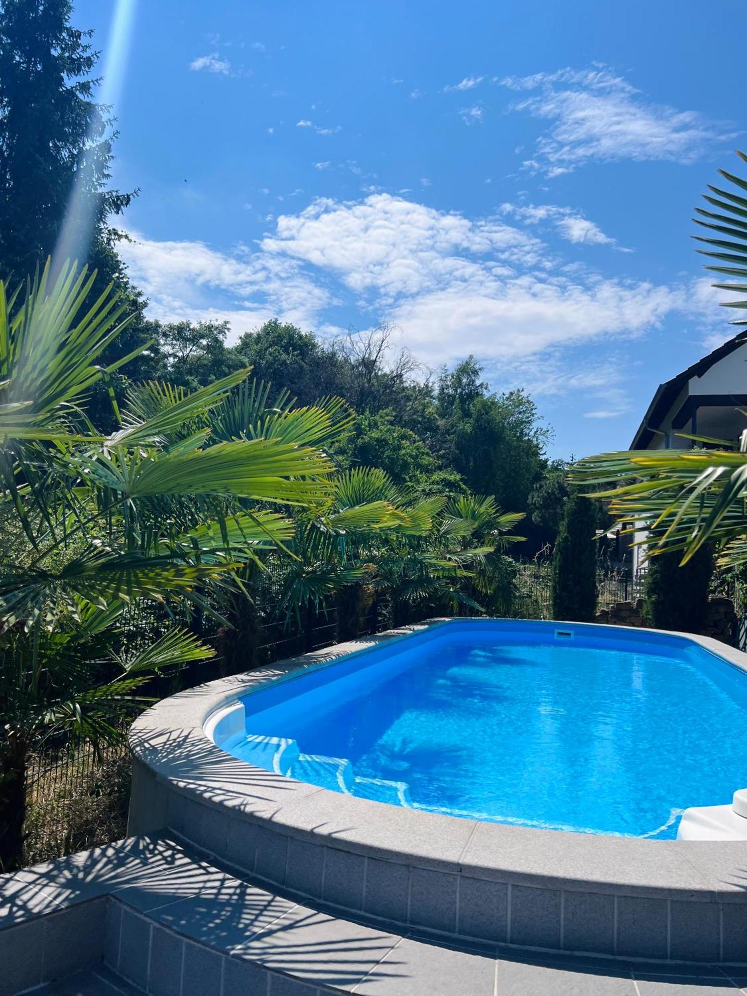Privates Ferienhaus Mit Pool & Whirlpool Zentral In Бад-Дюркгайм Екстер'єр фото